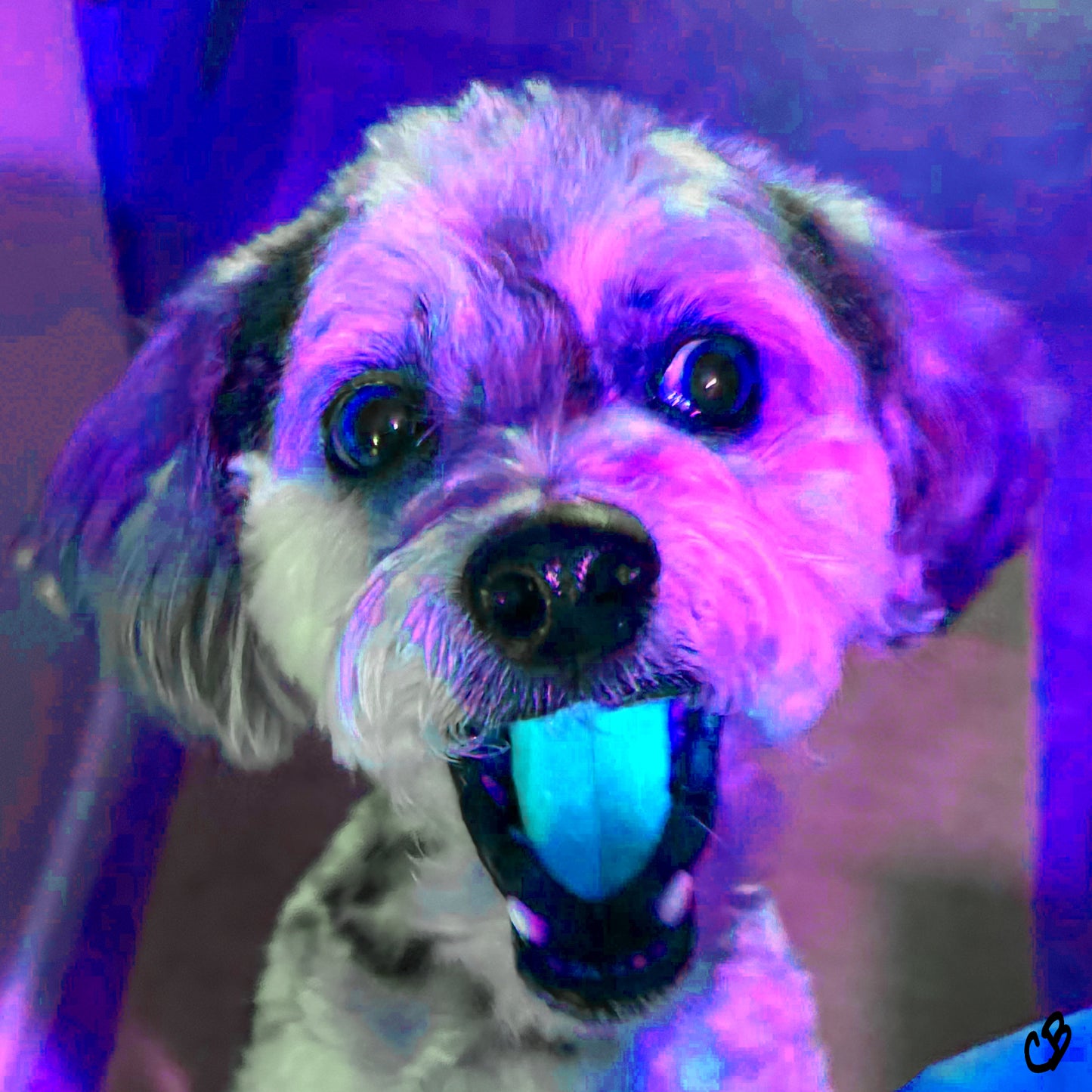 Mr. Blue 2